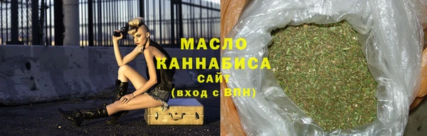 индика Бронницы